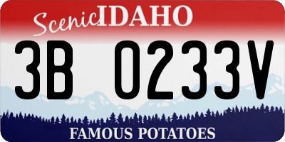 ID license plate 3B0233V