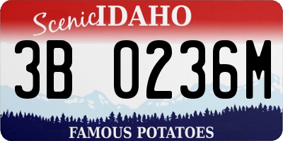 ID license plate 3B0236M