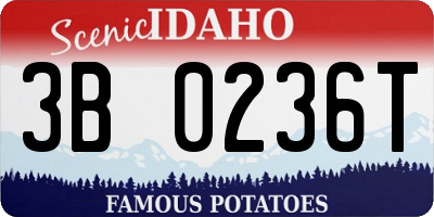 ID license plate 3B0236T