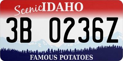 ID license plate 3B0236Z