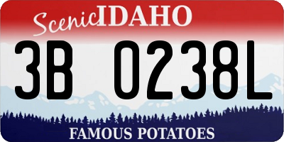 ID license plate 3B0238L
