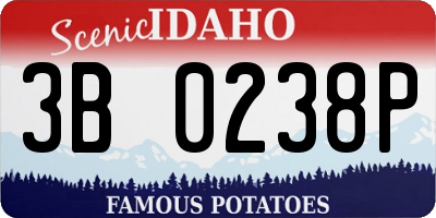 ID license plate 3B0238P