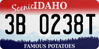 ID license plate 3B0238T