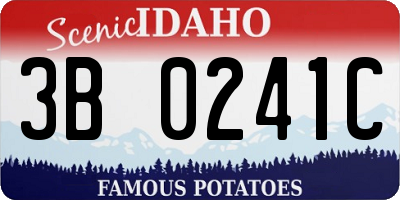 ID license plate 3B0241C