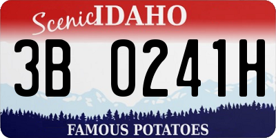 ID license plate 3B0241H