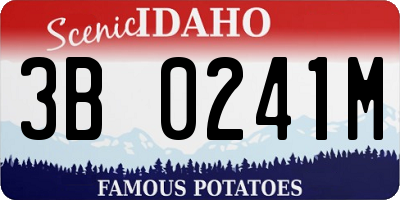 ID license plate 3B0241M