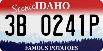 ID license plate 3B0241P