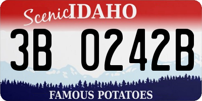 ID license plate 3B0242B