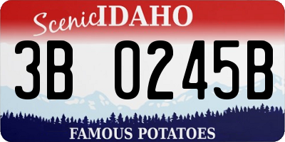 ID license plate 3B0245B