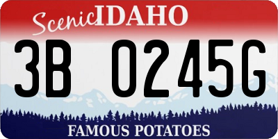ID license plate 3B0245G