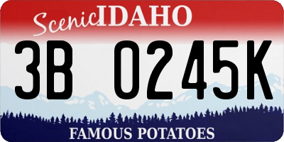 ID license plate 3B0245K