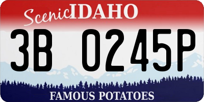 ID license plate 3B0245P