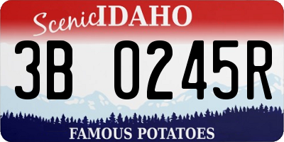 ID license plate 3B0245R