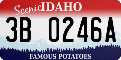 ID license plate 3B0246A