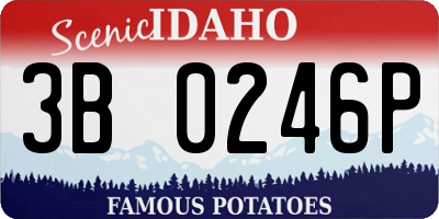 ID license plate 3B0246P