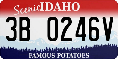 ID license plate 3B0246V