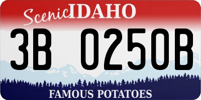 ID license plate 3B0250B