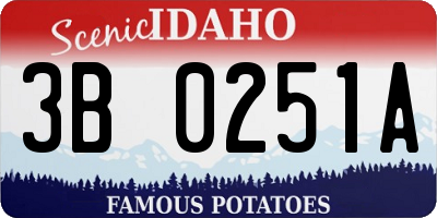 ID license plate 3B0251A