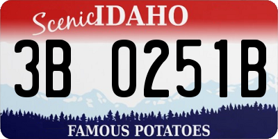 ID license plate 3B0251B