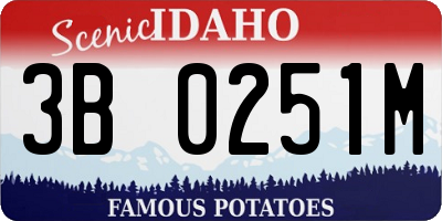 ID license plate 3B0251M