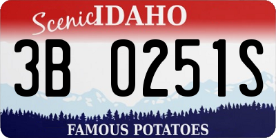 ID license plate 3B0251S