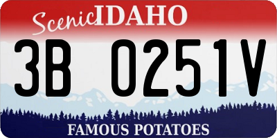 ID license plate 3B0251V