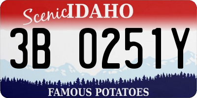 ID license plate 3B0251Y