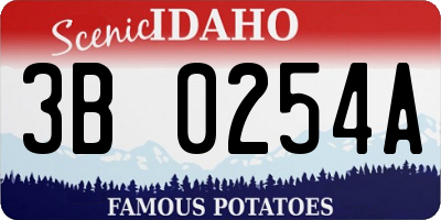 ID license plate 3B0254A