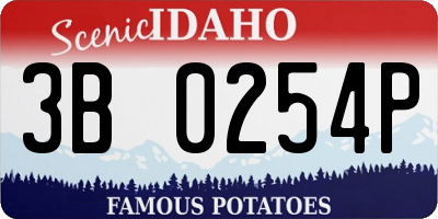 ID license plate 3B0254P