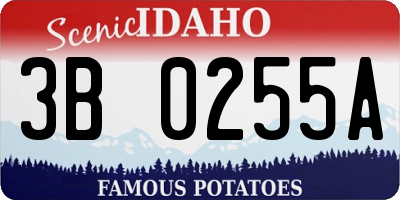 ID license plate 3B0255A