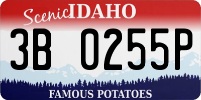 ID license plate 3B0255P