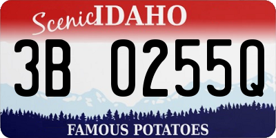ID license plate 3B0255Q