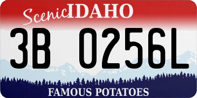 ID license plate 3B0256L