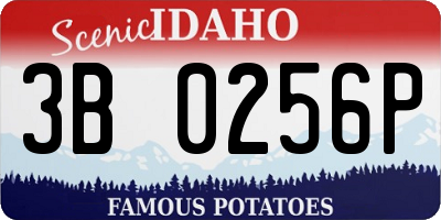 ID license plate 3B0256P