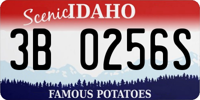 ID license plate 3B0256S