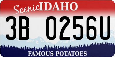 ID license plate 3B0256U