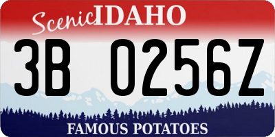 ID license plate 3B0256Z