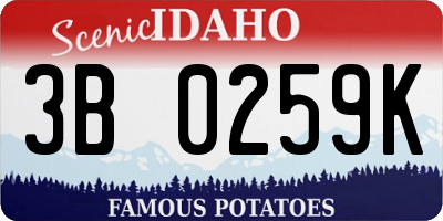 ID license plate 3B0259K