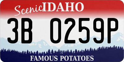 ID license plate 3B0259P