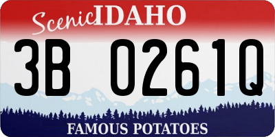 ID license plate 3B0261Q