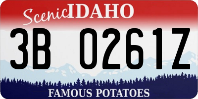 ID license plate 3B0261Z