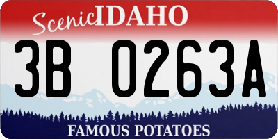 ID license plate 3B0263A