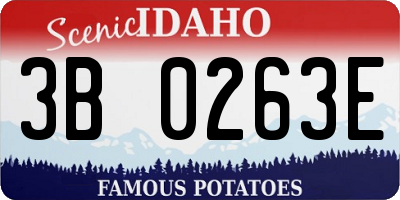 ID license plate 3B0263E
