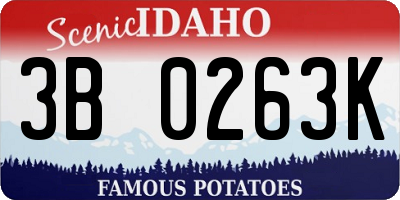 ID license plate 3B0263K