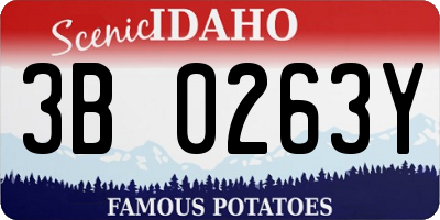 ID license plate 3B0263Y