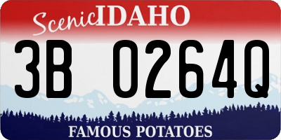 ID license plate 3B0264Q