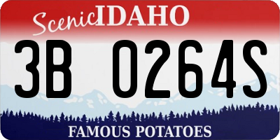 ID license plate 3B0264S