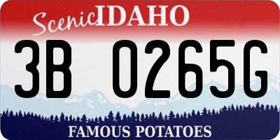 ID license plate 3B0265G