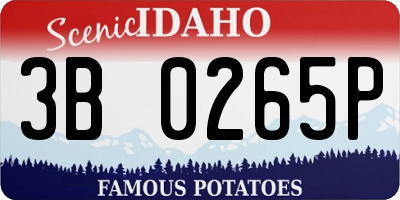ID license plate 3B0265P