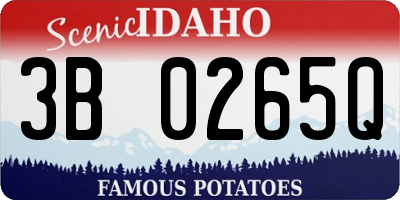 ID license plate 3B0265Q